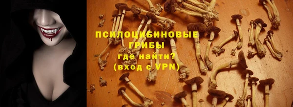 ПСИЛОЦИБИНОВЫЕ ГРИБЫ Нефтегорск