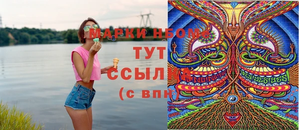гашик Надым