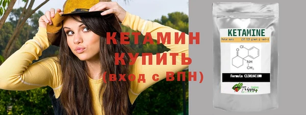 прущие грибы Белая Холуница