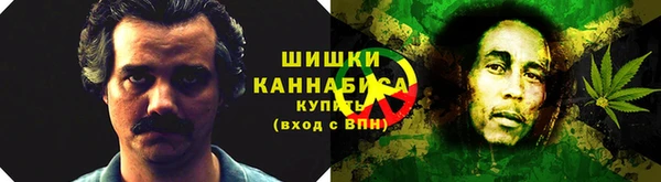 ГАЛЛЮЦИНОГЕННЫЕ ГРИБЫ Гусев