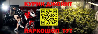 прущие грибы Беслан