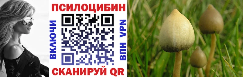 мега зеркало  что такое   Кириши  даркнет телеграм  Галлюциногенные грибы прущие грибы 