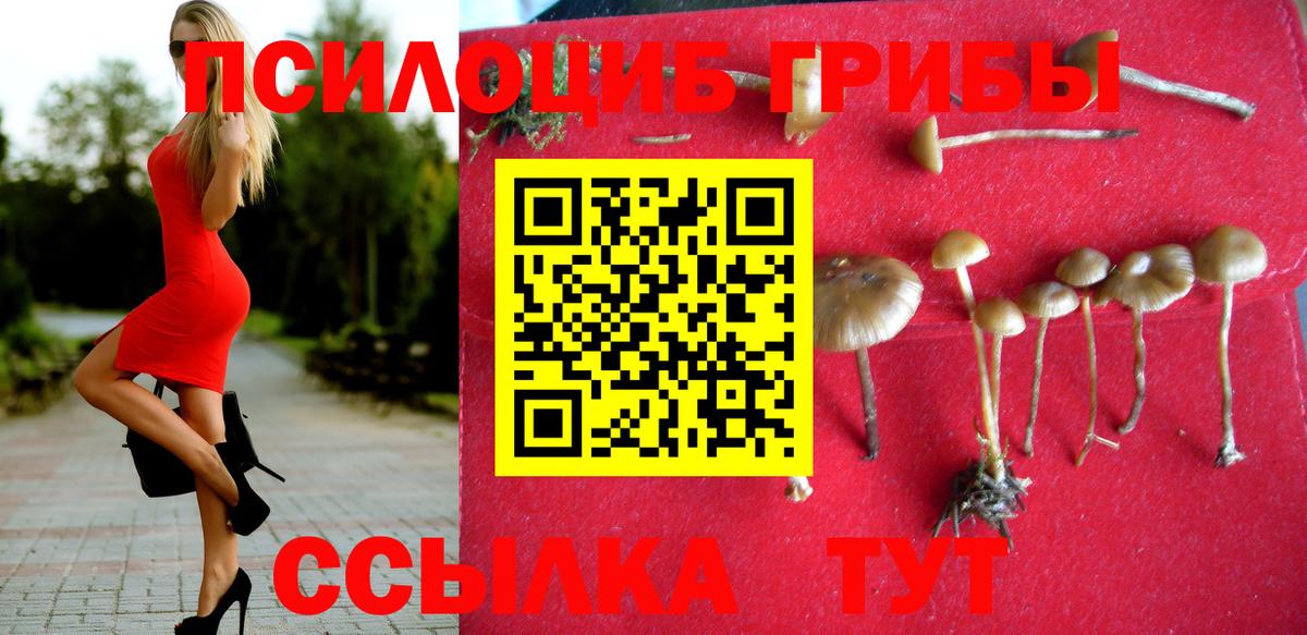 Кириши  Галлюциногенные грибы MAGIC MUSHROOMS  сколько стоит  Вход с VPN 
